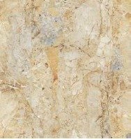 BRECCIA GOLD